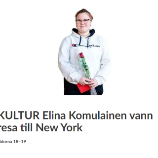 Skärmdump från Ålandstidningen